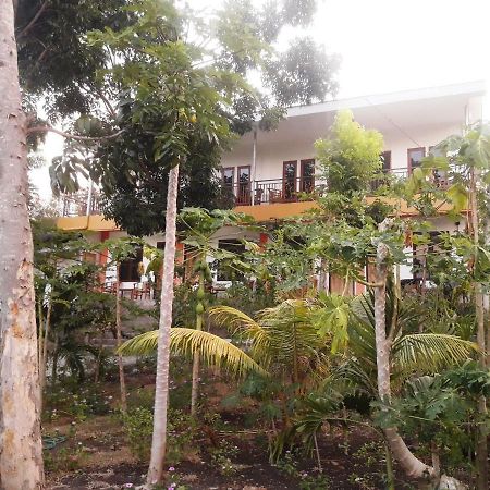The Teuz B&B Labuan Bajo Exteriör bild