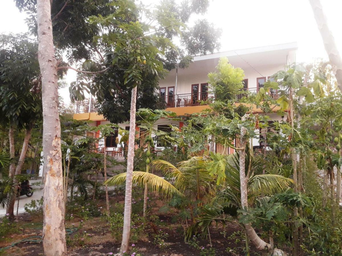 The Teuz B&B Labuan Bajo Exteriör bild