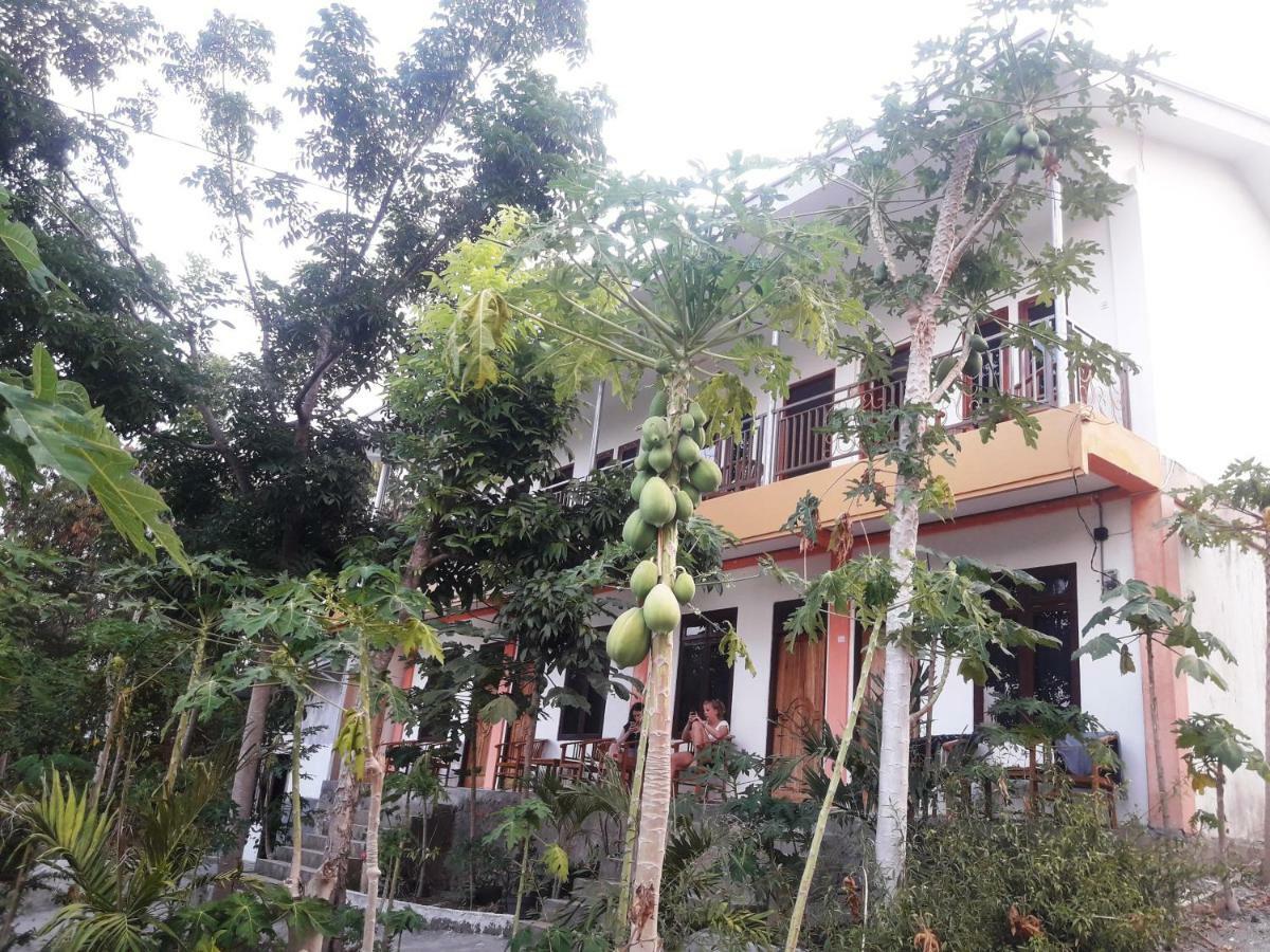 The Teuz B&B Labuan Bajo Exteriör bild